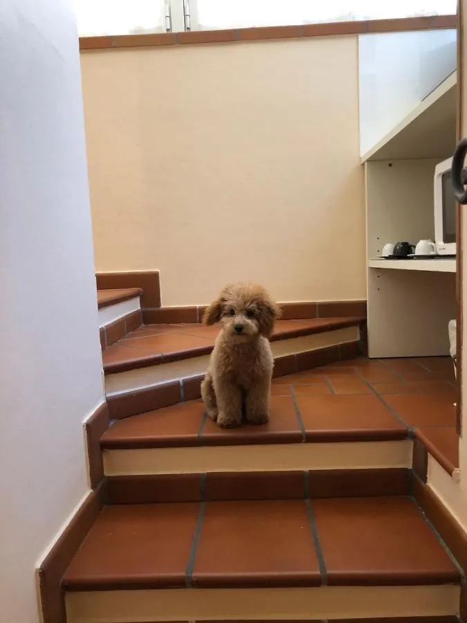 Bed & Breakfast La Magnolia B&B Bologna